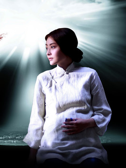 叶问2:宗师传奇剧情介绍_天天影视