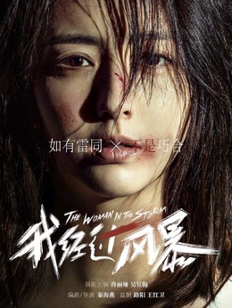 我经过风暴剧情介绍_天天影视