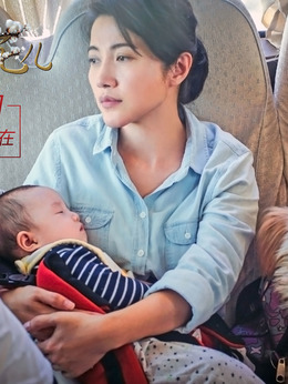 盛先生的花儿剧情介绍_天天影视