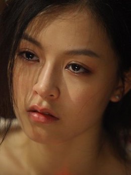 大追捕剧情介绍_天天影视