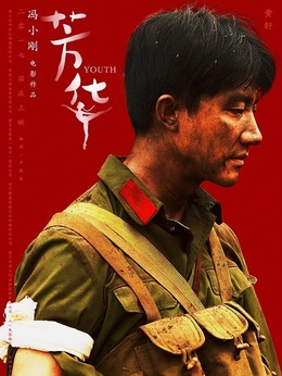 芳华剧情介绍_天天影视