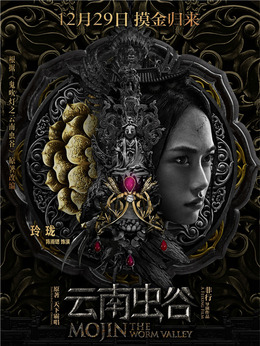 云南虫谷剧情介绍_天天影视