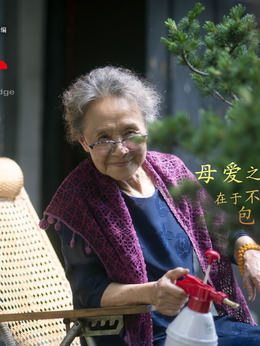 红日亭剧情介绍_天天影视