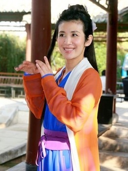 花田囍事2010剧情介绍_天天影视