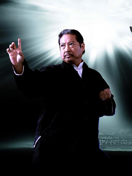 叶问2:宗师传奇剧情介绍_天天影视