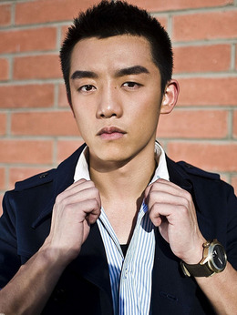 喜羊羊与灰太狼之飞马奇遇记剧情介绍_天天影视