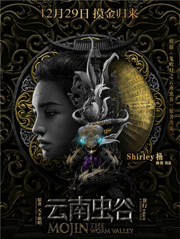 云南虫谷剧情介绍_天天影视