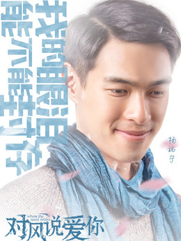 对风说爱你剧情介绍_天天影视