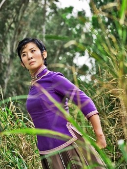 家有喜事2009剧情介绍_天天影视