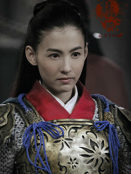 杨门女将之军令如山剧情介绍_天天影视