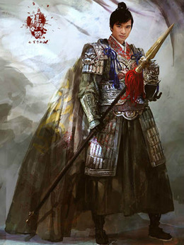 杨门女将之军令如山剧情介绍_天天影视