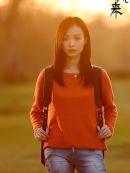 等风来剧情介绍_天天影视