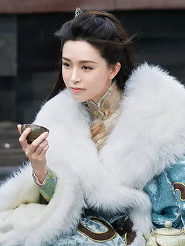 倚天屠龙记之圣火雄风剧情介绍_天天影视