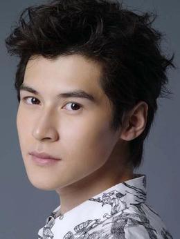 沉默的证人剧情介绍_天天影视