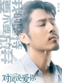 对风说爱你剧情介绍_天天影视