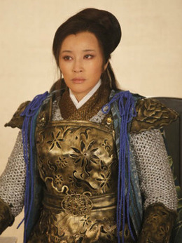 杨门女将之军令如山剧情介绍_天天影视