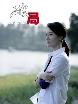 破局剧情介绍_天天影视