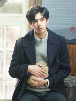 我的青春都是你剧情介绍_天天影视