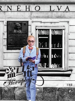 盗马记剧情介绍_天天影视