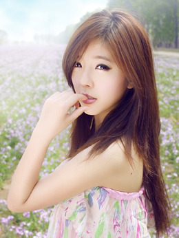 猫先生与猪小姐剧情介绍_天天影视