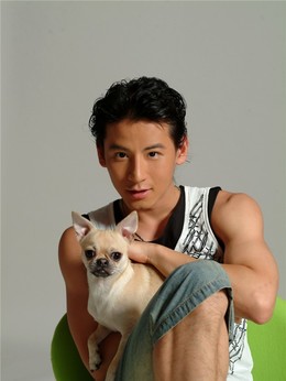 畹町桥剧情介绍_天天影视