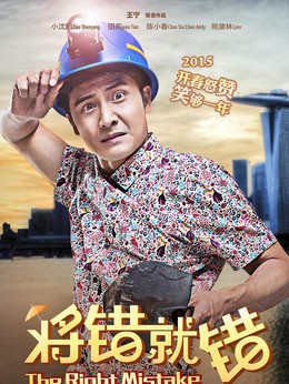 将错就错剧情介绍_天天影视