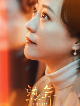 熟年剧情介绍_天天影视