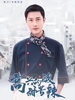 高兴的酸甜苦辣剧情介绍_天天影视
