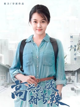 高兴的酸甜苦辣剧情介绍_天天影视