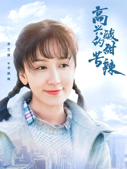 高兴的酸甜苦辣剧情介绍_天天影视