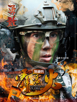 特种兵之霹雳火剧情介绍_天天影视