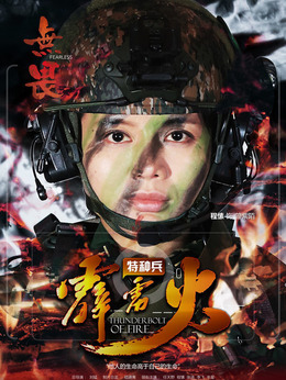 特种兵之霹雳火剧情介绍_天天影视