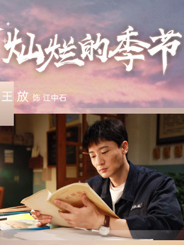 灿烂的季节剧情介绍_天天影视