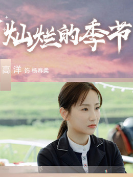 灿烂的季节剧情介绍_天天影视