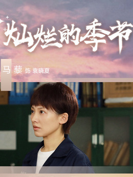 灿烂的季节剧情介绍_天天影视