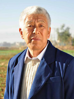 城里城外东北人剧情介绍_天天影视