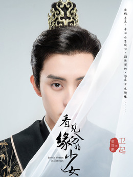 看见缘分的少女剧情介绍_天天影视