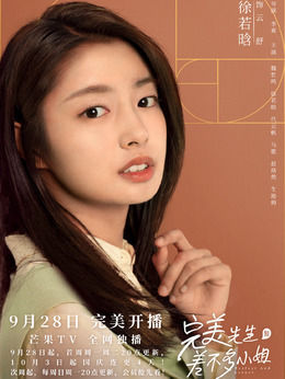 完美先生和差不多小姐剧情介绍_天天影视