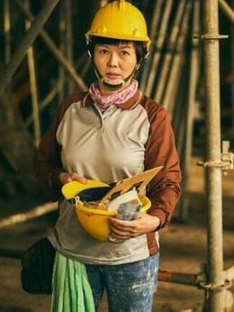 做工的人剧情介绍_天天影视