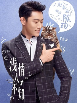 浅情人不知剧情介绍_天天影视