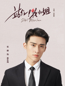 站住！花小姐剧情介绍_天天影视