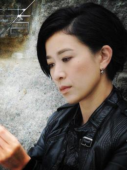 使徒行者剧情介绍_天天影视