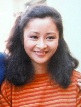 碧血剑剧情介绍_天天影视