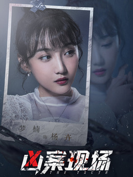 凶案现场剧情介绍_天天影视
