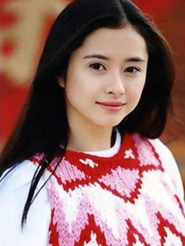 少年英雄之洪文定剧情介绍_天天影视