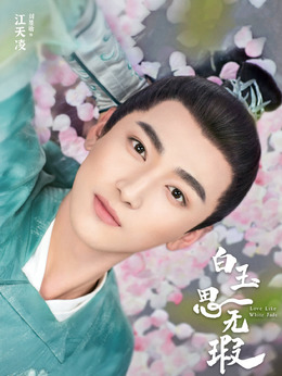 白玉思无瑕剧情介绍_天天影视