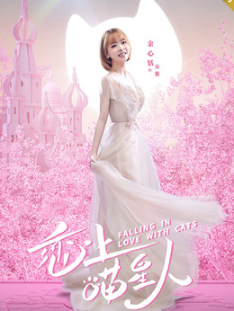 恋上喵星人剧情介绍_天天影视