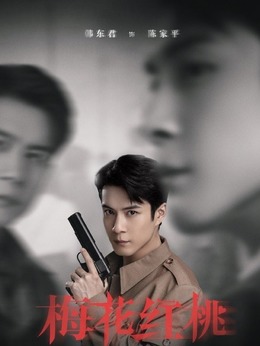 梅花红桃剧情介绍_天天影视