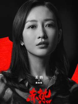 赤热剧情介绍_天天影视