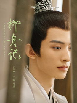 柳舟记剧情介绍_天天影视